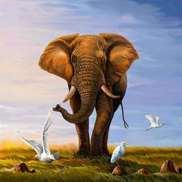 Un éléphant avec des oiseaux