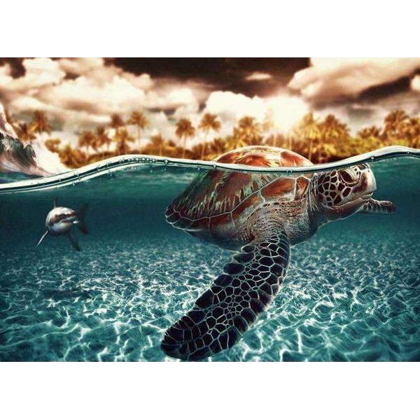 Tortue sous l'Eau