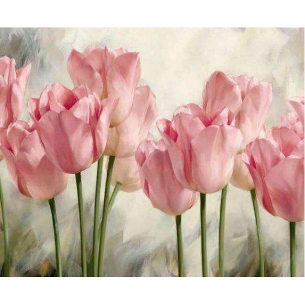 Tulipes Roses