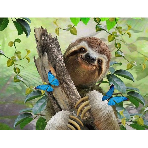 Paresseux avec des papillons