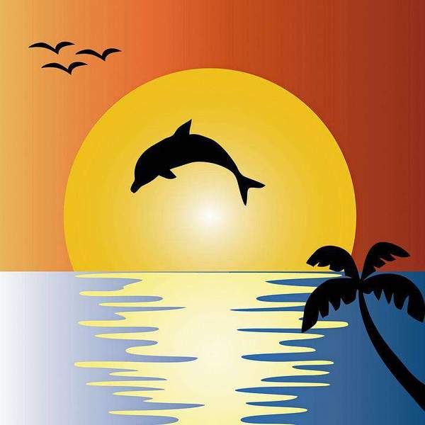 Un dauphin joyeux au soleil