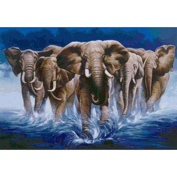 Les éléphants dans l'eau