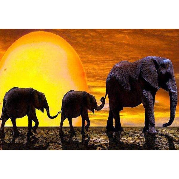 Une famille d'éléphants