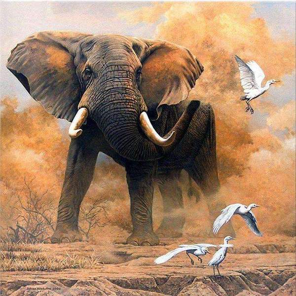 Un éléphant dans le sable