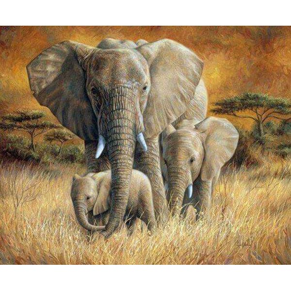 Une famille d'éléphants dans l'herbe