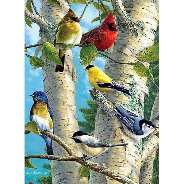 Oiseaux de couleur dans un arbre