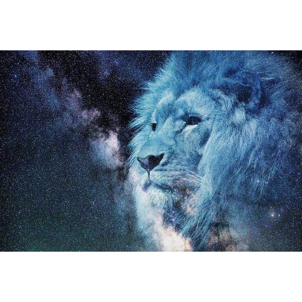 Lion sous un ciel étoilé