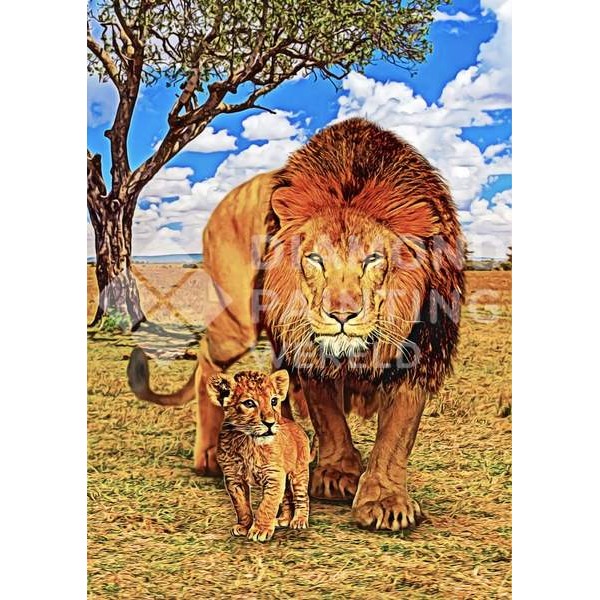 Lion et lionceau | Design exclusif
