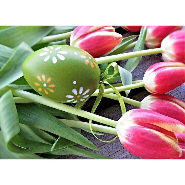 Œuf de Pâques et tulipes roses