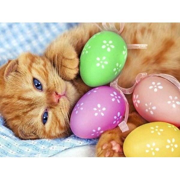 Un joli chaton avec des œufs de Pâques