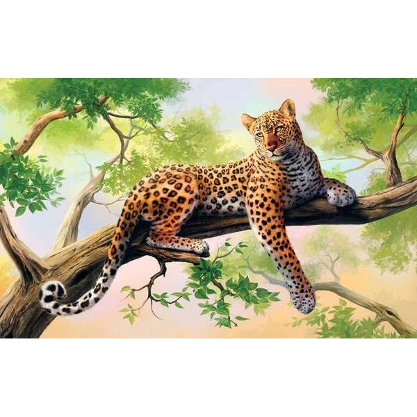 Un Léopard dans un arbre