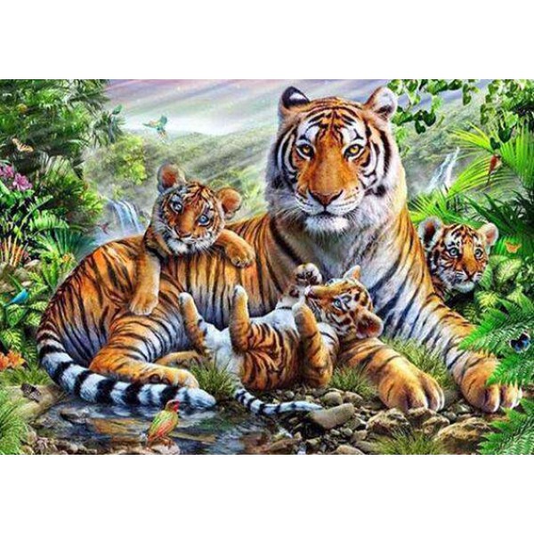 Un tigre et ses petits