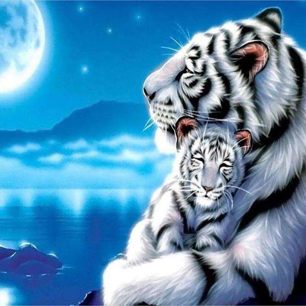 Tigre et bébé tigre