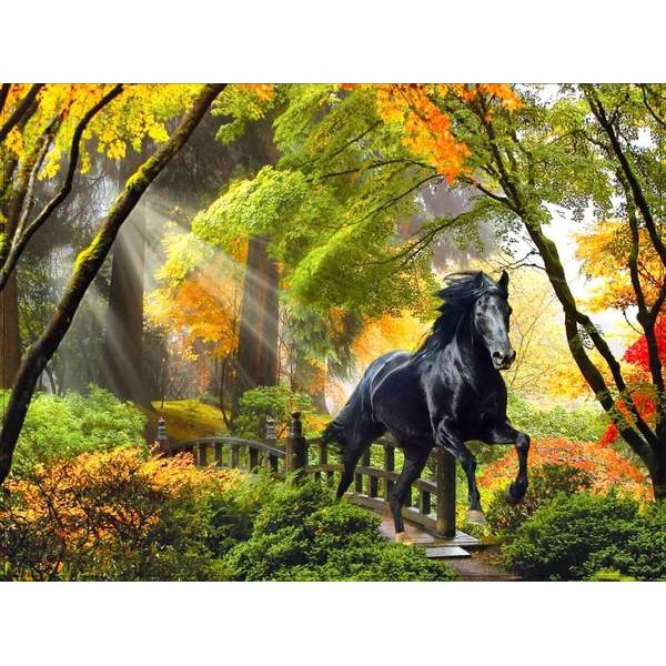 Un cheval en automne