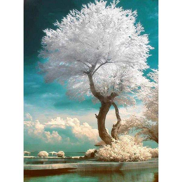 L'arbre blanc