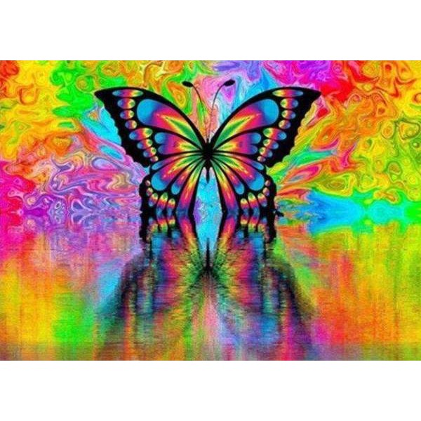 Papillon coloré