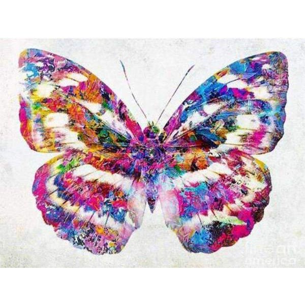 Papillon Coloré