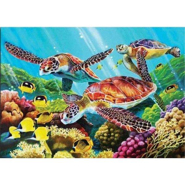 Tortue et Poissons