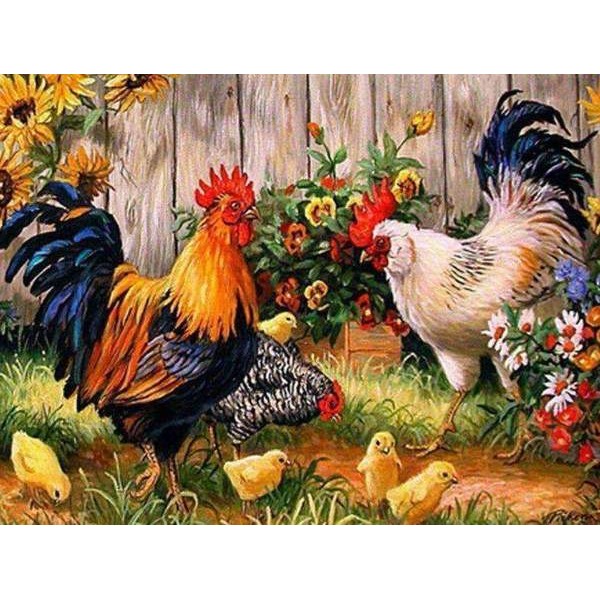 Poules et poussins