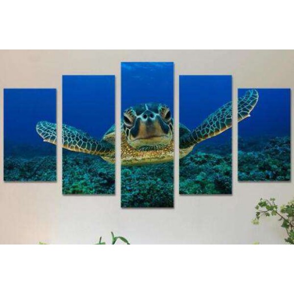 Tortue | Cinq panneaux