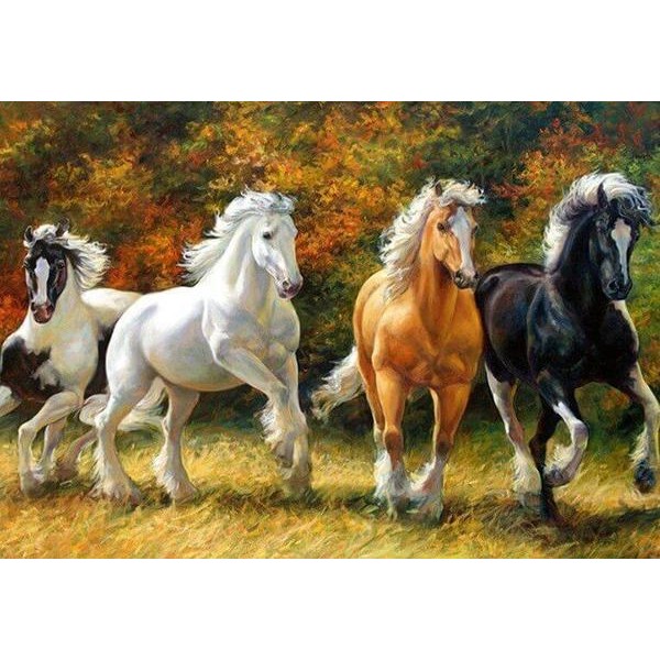 Les beaux chevaux colorés