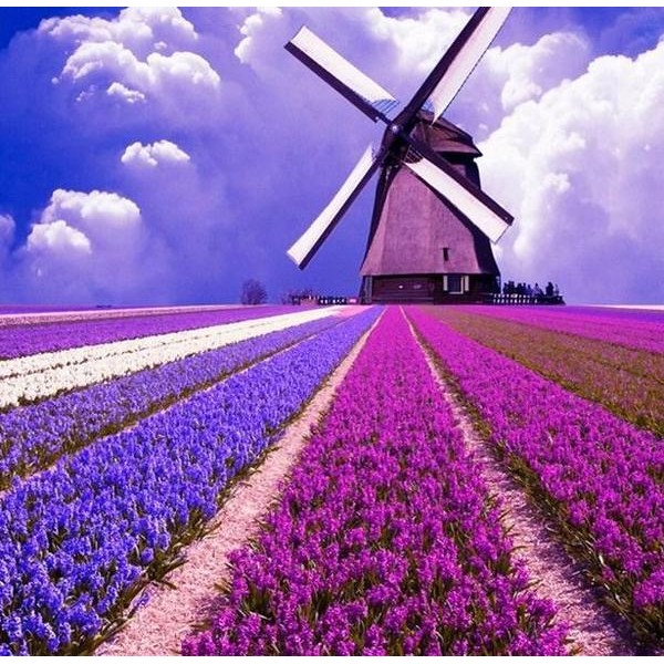 Paysage violet avec moulin
