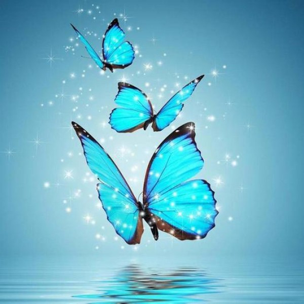 Les papillons bleus de l'eau