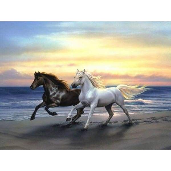 Des chevaux qui courent sur la plage