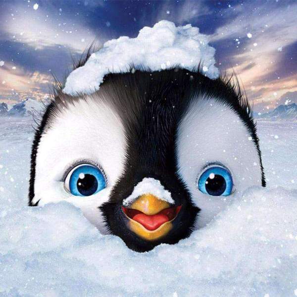 Pingouin dans la neige