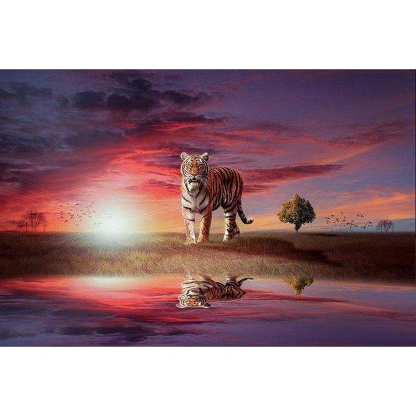 Reflet de tigre au coucher du soleil