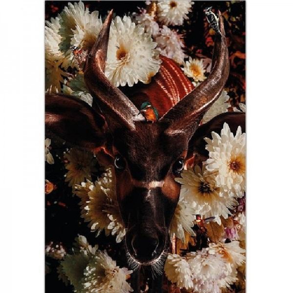 Cerf parmi les fleurs