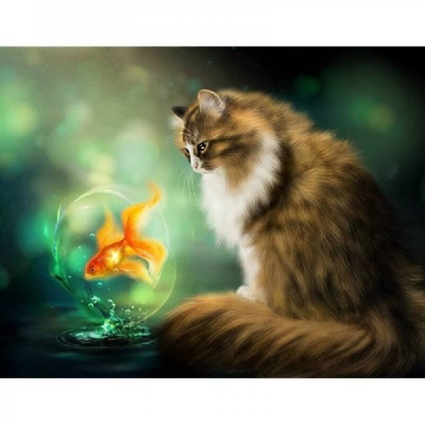 Chat et poisson rouge