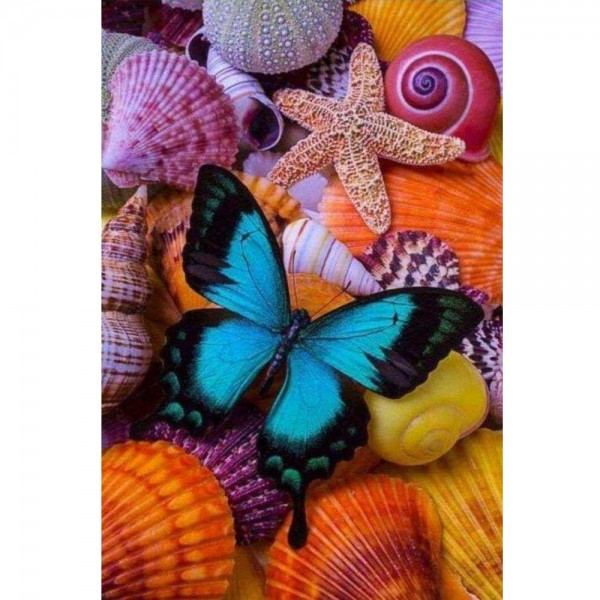 Papillon sur des coquillages