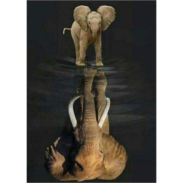 Reflet d'éléphant