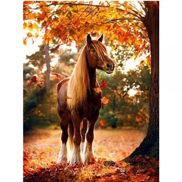 Cheval à l'automne