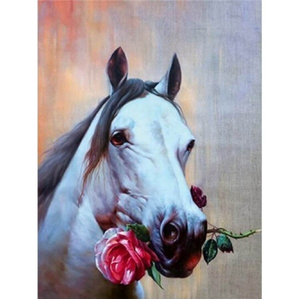 Cheval avec rose