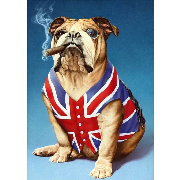 Bulldog anglais