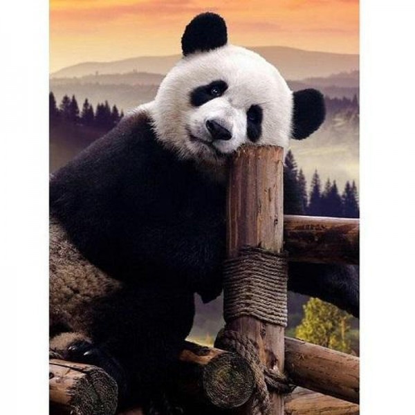 Panda paresseux