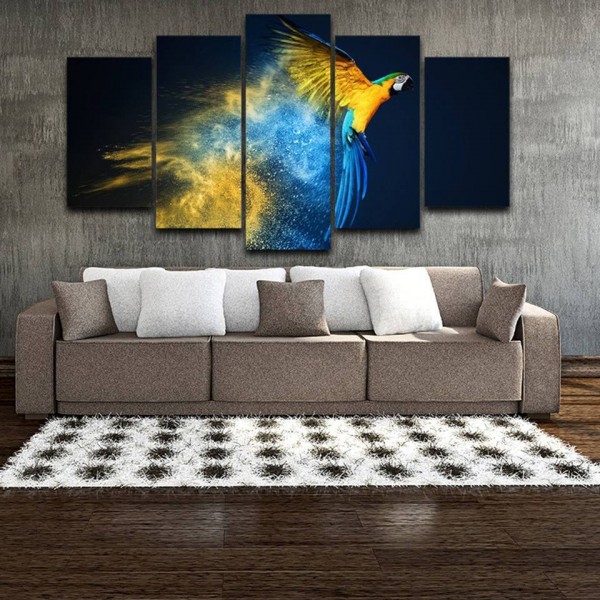 Perroquet | 5 parties