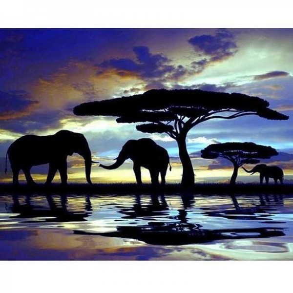 Silhouettes d'éléphants au coucher du soleil