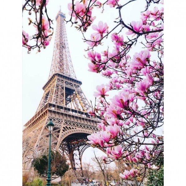 Tour Eiffel avec floraison