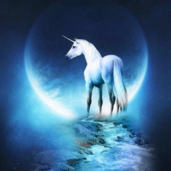 Licorne au clair de lune
