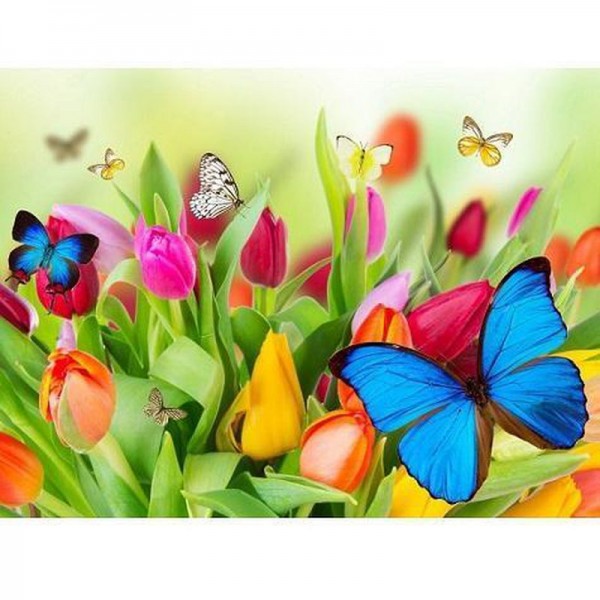 Papillons et tulipes