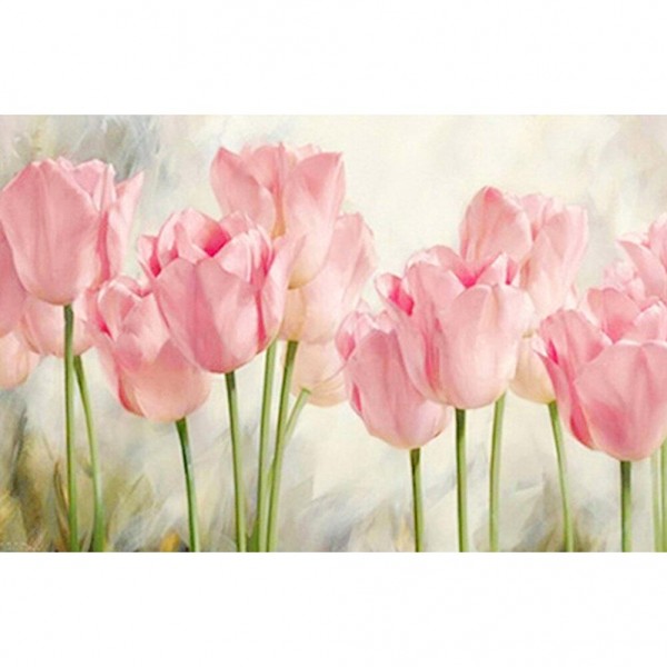 Tulipes roses