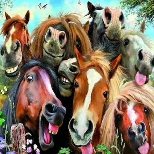 Selfie de chevaux