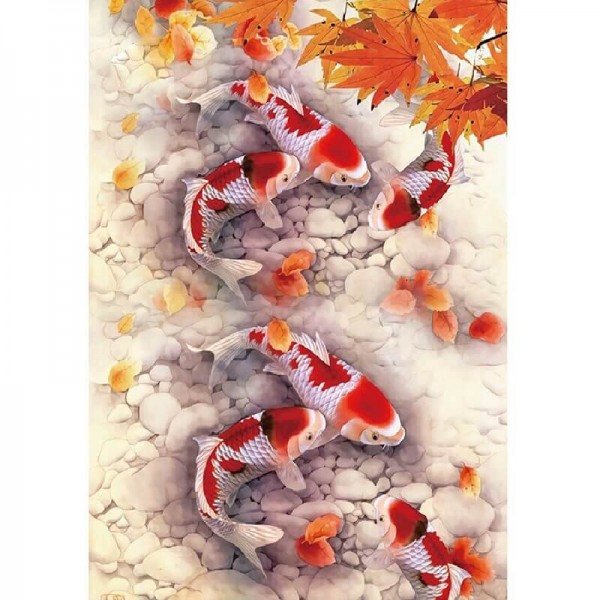 Koi poisson
