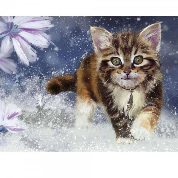 Chaton dans la neige