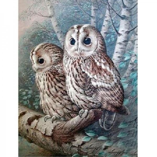 Hiboux dans un arbre