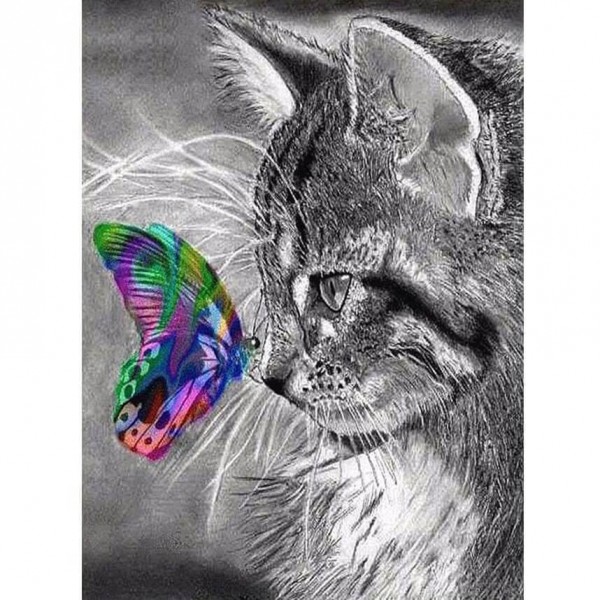 Chaton avec papillon