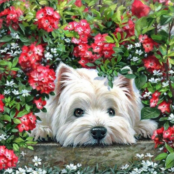 Chien sous les fleurs